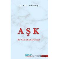 Aşk Bir Yalnızlık Şarkısıdır - Durdu Güneş - Gülnar Yayınları