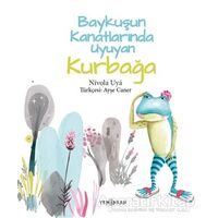 Baykuşun Kanatlarında Uyuyan Kurbağa - Nİvola Uya - Yeni İnsan Yayınevi