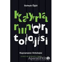 Kaynananın Ontolojisi Siyasetin Cevhersiz Arazı - Suheyb Öğüt - Turkuvaz Kitap