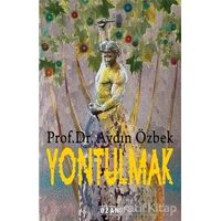 Yontulmak - Aydın Özbek - Ozan Yayıncılık