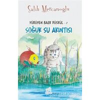 Soğuk Su Akıntısı - Yürüyen Balık Püskül 1 - Salih Mercanoğlu - Uçan At Yayınları