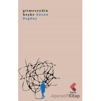 Gitmeseydin Keşke - Hasan Begdaş - Klaros Yayınları