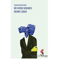 Yaşadıklarım Üzerine Bir Yapboz Denemesi - Mehmet Çoban - Klaros Yayınları