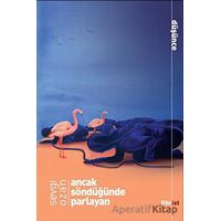 Ancak Söndüğünde Parlayan - Sevgi Ozan - Fihrist Kitap