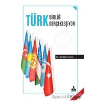 Türk Birliği Gerçekleşiyor - Ali Nazmi Çora - Sonçağ Yayınları