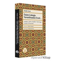 Üzüm Çubuğu Yaratılmadan Evvel... - Molla Cami - Büyüyen Ay Yayınları