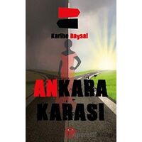 Ankara Karası - Karibe Baysal - Atayurt Yayınevi
