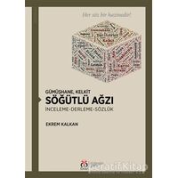 Gümüşhane Kelkit Söğütlü Ağzı - Ekrem Kalkan - DBY Yayınları