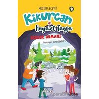 Kikurcan ve Hayalet Tayfa 3 - Mustafa Ecevit - Çamlıca Çocuk Yayınları