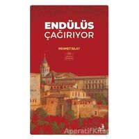 Endülüs Çağırıyor - Mehmet Sılay - Fecr Yayınları