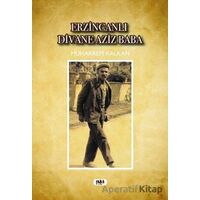 Erzincanlı Divane Aziz Baba - Muharrem Kalkan - Tilki Kitap