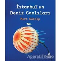 İstanbulun Deniz Canlıları - Mert Gökalp - İBB Yayınları