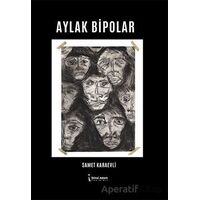 Aylak Bipolar - Samet Karaevli - İkinci Adam Yayınları