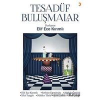 Tesadüf Buluşmalar - Kolektif - Cinius Yayınları