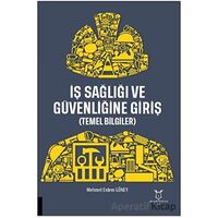 İş Sağlığı ve Güvenliğine Giriş - Mehmet Erdem Güney - Akademisyen Kitabevi