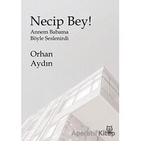 Necip Bey ! - Orhan Aydın - Luna Yayınları