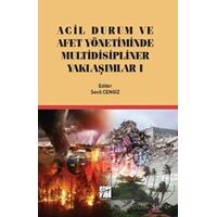 Acil Durum ve Afet Yönetiminde Multidisipliner Yaklaşımlar 1 - Sevil Cengiz - Gazi Kitabevi