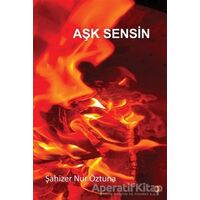 Aşk Sensin - Şahizer Nur Öztuna - Cinius Yayınları