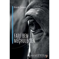Faili Ben Meçhulü Sen - Fatih Şeker - Cinius Yayınları