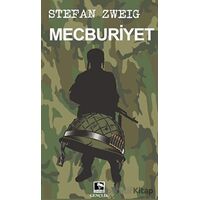 Mecburiyet - Stefan Zweig - Çınaraltı Yayınları