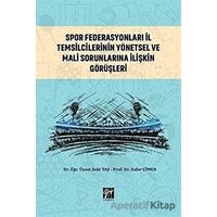 Spor Federasyonları İl Temsilcilerinin Yönetsel ve Mali Sorunlarına İlişkin Görüşleri