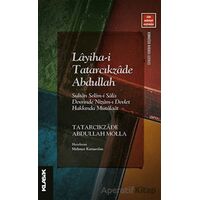 Layiha-i Tatarcıkzade Abdullah - Sultan Selim-i Salis Devrinde Nizam-ı Devlet Hakkında Mütalaat