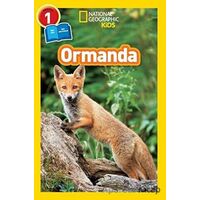 Ormanda - Seviye 1 - Shira Evans - Beta Kids