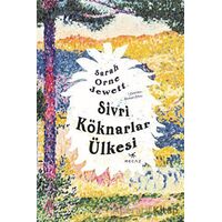 Sivri Köknarlar Ülkesi - Sarah Orne Jewett - Mecaz Yayınları