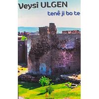 Tene Ji Bo Te - Veysi Ülgen - Sidar Yayınları