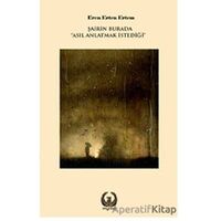 Şairin Burada Asıl Anlatmak İstediği - Eren Erten Ertem - Myrina Yayınları