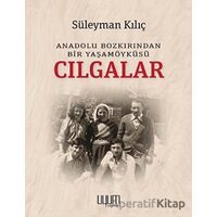 Cılgalar: Anadolu Bozkırından Bir Yaşamöyküsü - Süleyman Kılıç - Uyum Yayınları