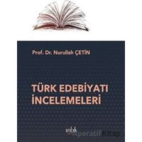 Türk Edebiyatı İncelemeleri - Nurullah Çetin - İmbik Yayınları