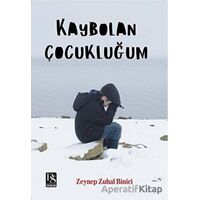Kaybolan Çocukluğum - Zeynep Zuhal Binici - DS Yayınları