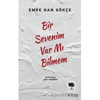 Bir Sevenim Var mı Bilmem - Emre Han Gökçe - Alıç Yayınları
