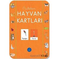 Hayvan Kartları - Kolektif - Multibem Yayınları