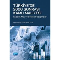 Türkiye’de 2000 Sonrası Kamu Maliyesi - Kolektif - Nobel Akademik Yayıncılık