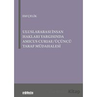 Uluslararası İnsan Hakları Yargısında Amicus Curiae - Üçüncü Taraf Müdahalesi