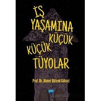 İş Yaşamına Küçük Küçük Tüyolar - Ahmet Bülend Göksel - Nobel Akademik Yayıncılık