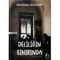 Deliliğin Sınırında - Ertuğrul Bozkurt - Fa Yayınları