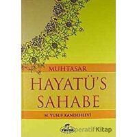 Muhtasar Hayatüs Sahabe (İthal Kağıt) - M. Yusuf Kandehlevi - Ravza Yayınları