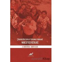 Çingenelerin Sosyal ve Toplumsal Sorunları - A. Baran Dural - Paradigma Akademi Yayınları