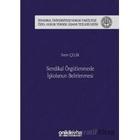 Sendikal Örgütlenmede İşkolunun Belirlenmesi - İrem Çelik - On İki Levha Yayınları