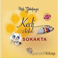 Kedi Mi Sokakta - Hale Gökalpsezer - Parmak Çocuk Yayınları