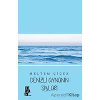 Denizli Aynanın Sırları - Meltem Çiçek - Edebiyatist