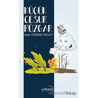 Küçük Cesur Rüzgar - Ayşe Sönmez Bulut - Liman Yayınevi