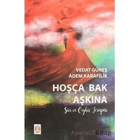 Hoşça Bak Aşkına - Vedat Güneş - Yükseliş Yayınları