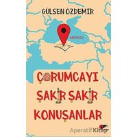 Çorumcayı Şakır Şakır Konuşanlar - Gülsen Özdemir - Kırmızı ve Siyah Yayınevi
