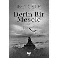 Derin Bir Mesele - İnci Çetir - Ateş Yayınları