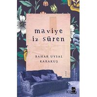 Maviye İz Süren - Bahar Uysal Karakuş - Mecaz Yayınları