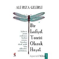 Bir İzafiyet Teorisi Olarak Hayat - Ali Rıza Gelirli - Klaros Yayınları